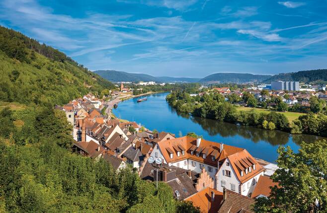  Cruises to Miltenberg 2025 / 2026 