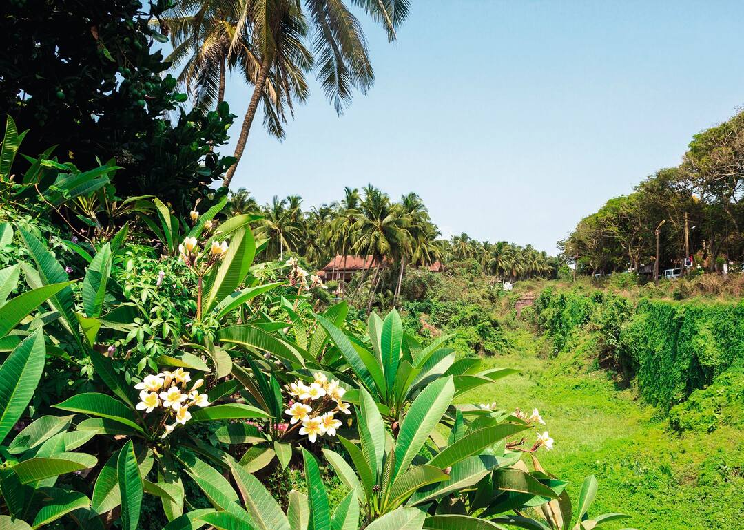 Candolim Beach, Goa