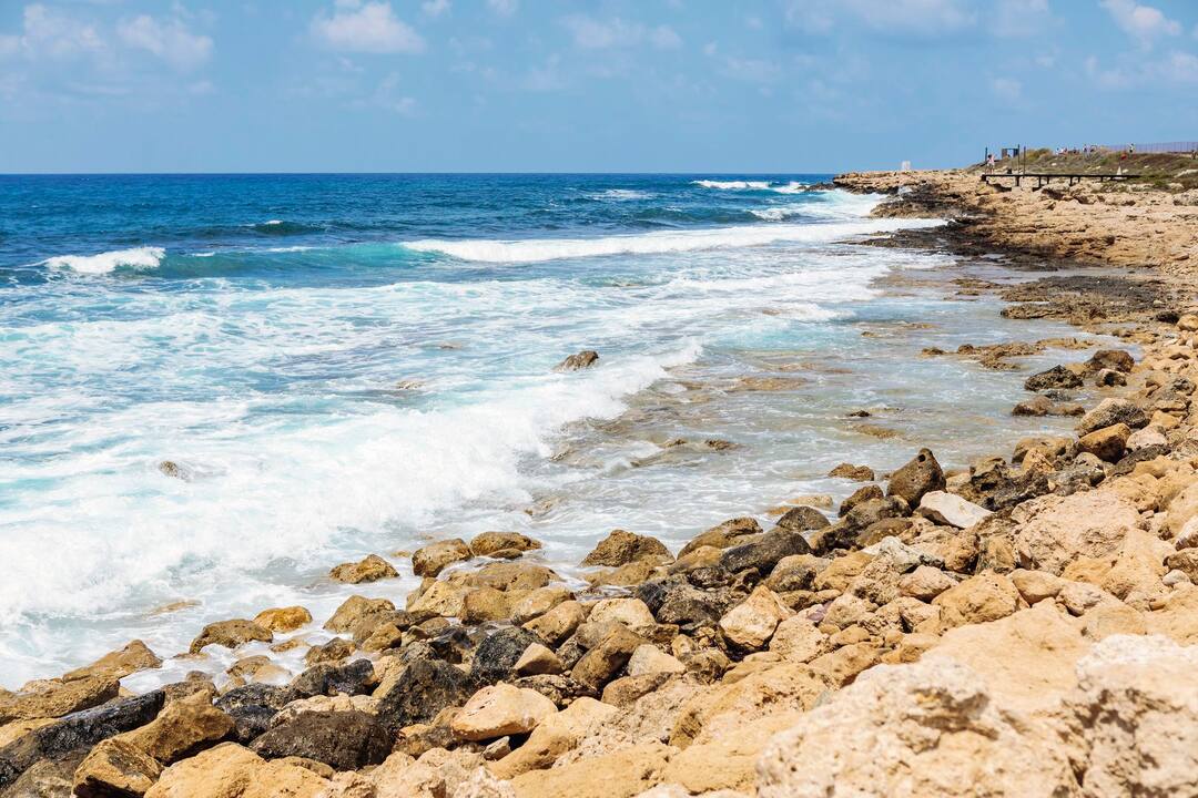 Paphos Harbour