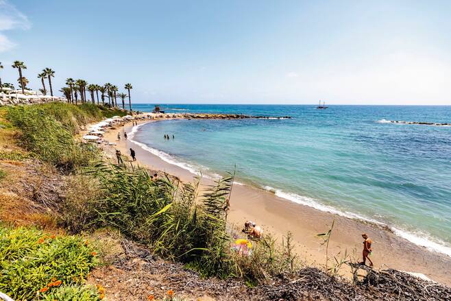 Alexander The Great Beach Hotel In Paphos Tui Co Uk