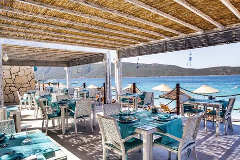 tui magic life bodrum in bodrum tui co uk