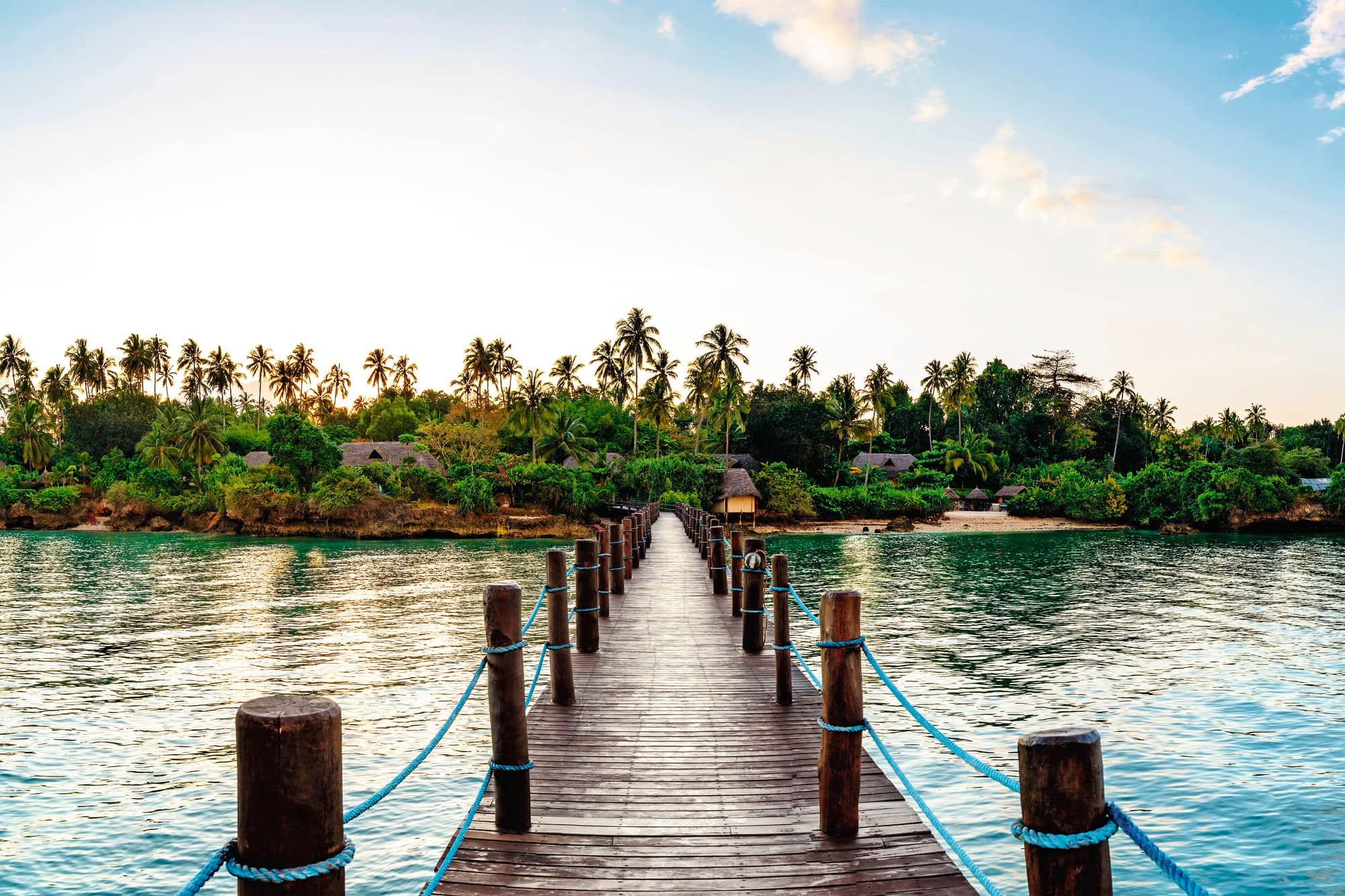 A view of a wooden pier extending from a tropical beach lined with palm trees.