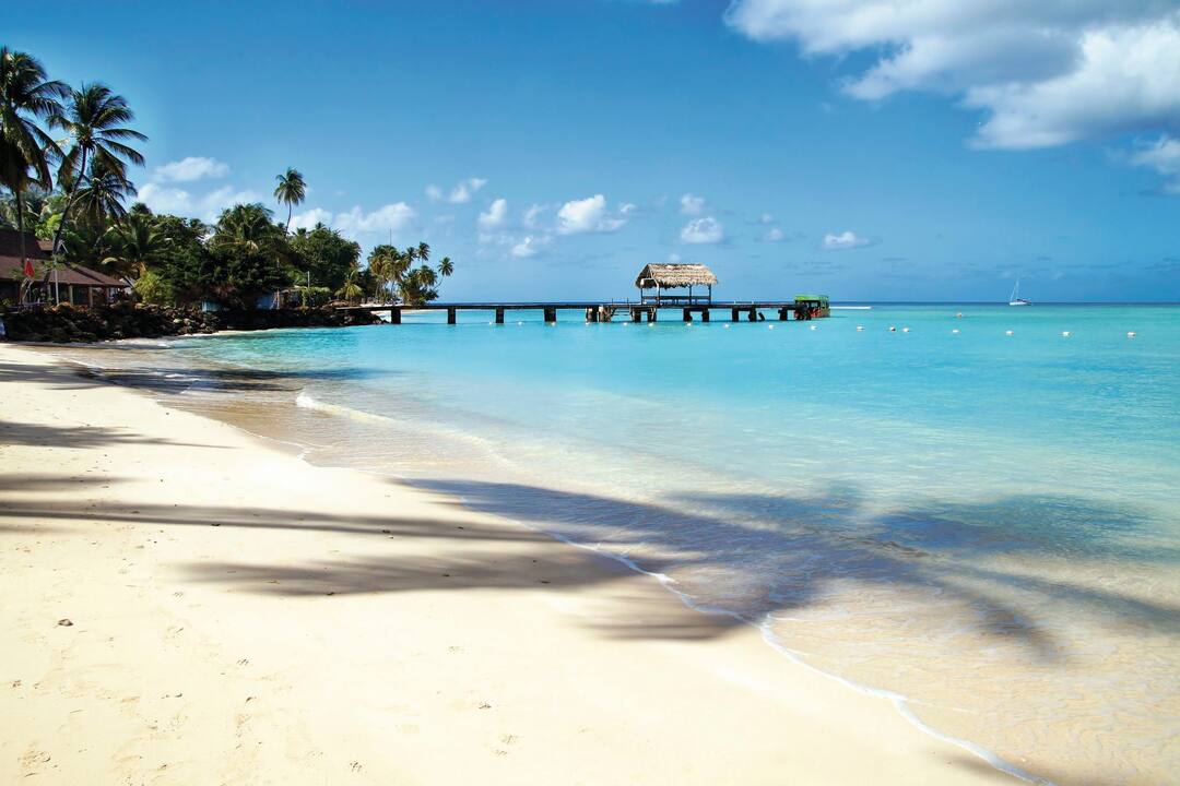 Tobago Island, Tobago
