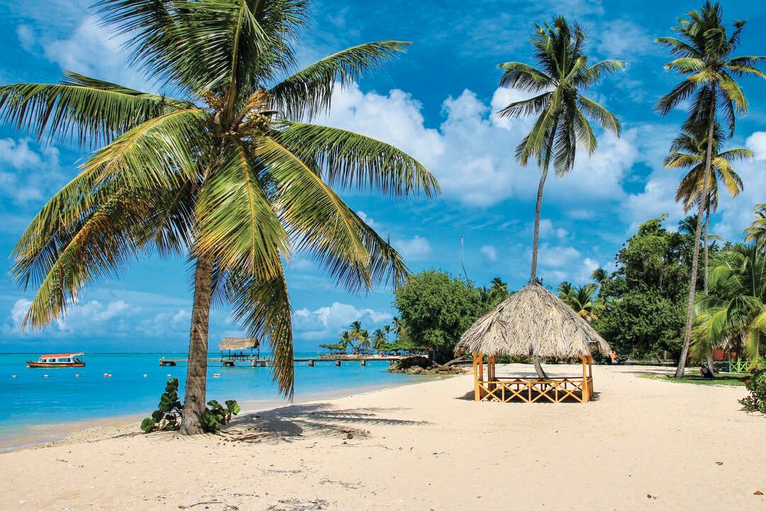 Trinidad & Tobago Caribbean beach with palms