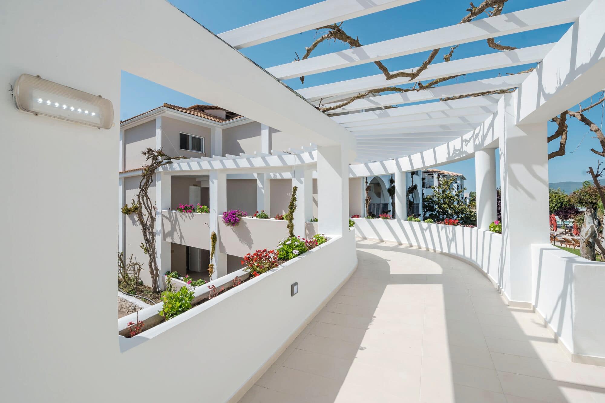 bitzaro grande hotel zante tripadvisor