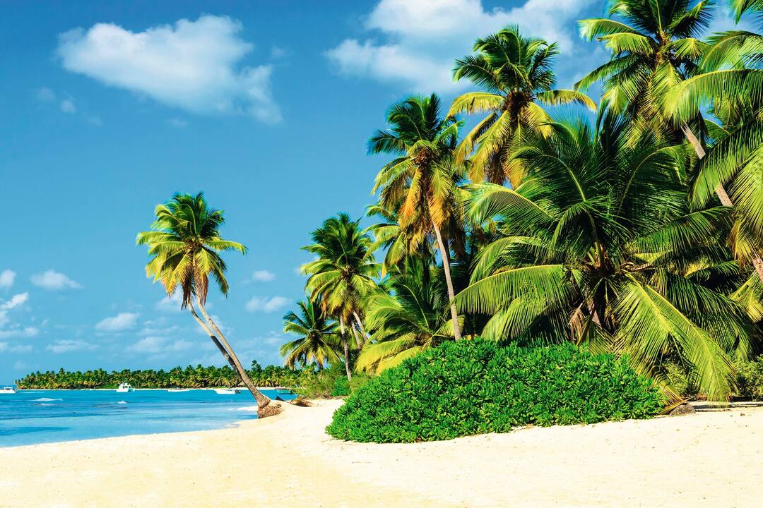 Beach, Grenada