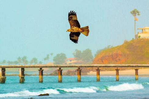 Sunbeach Hotel Resort In Bakau Tui Co Uk