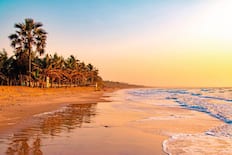 All Inclusive Holidays to Gambia 2024 / 2025 | TUI.co.uk