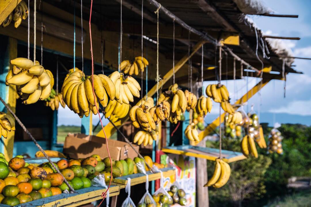 Parish of Westmoreland, Negril, Jamaica