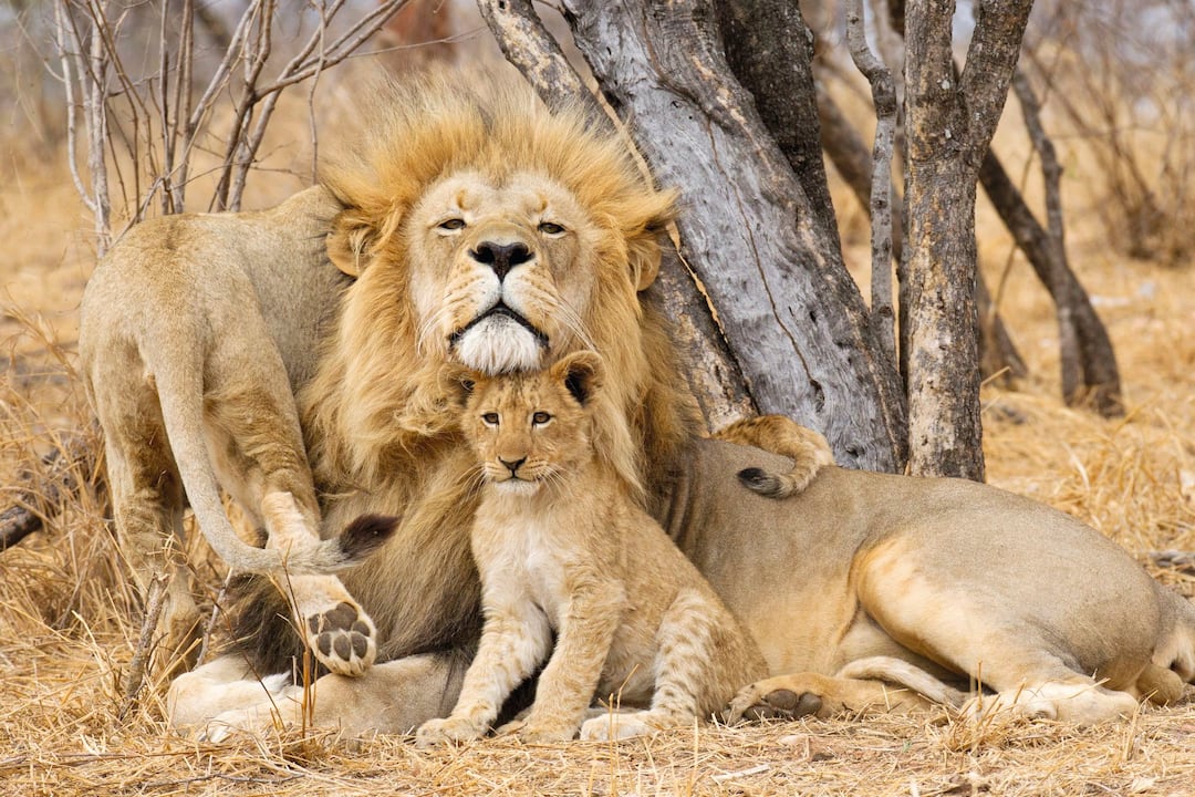 Image used for illustrative purposes only