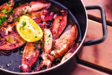 Squid - Image used for illustrative purposes only