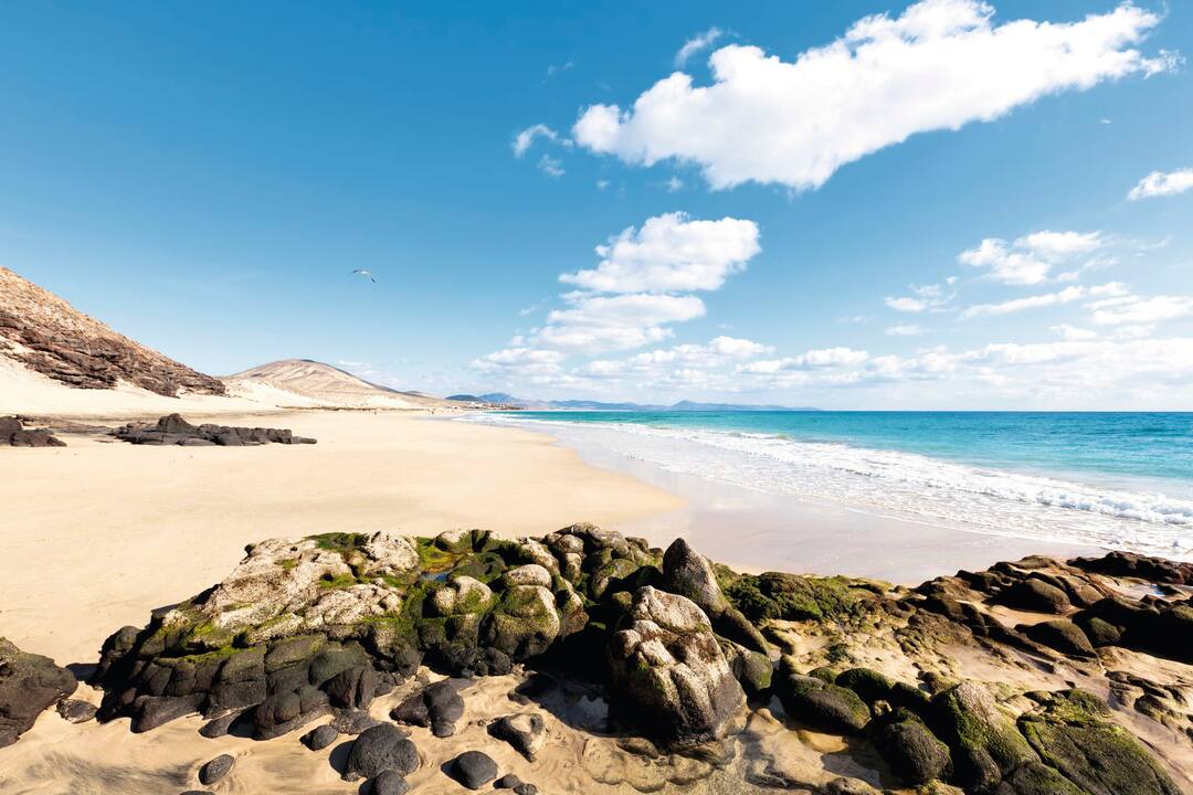 Esquinzo, Fuerteventura