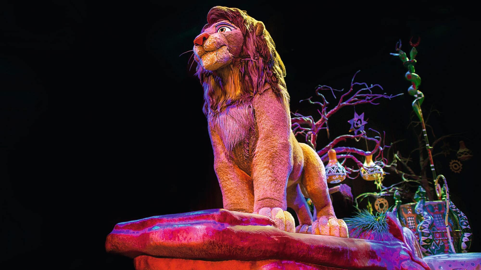 Festival of the Lion King.