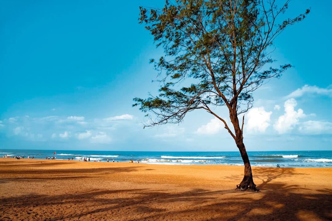 Calangute Beach, Goa