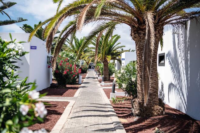 Holiday Village Lanzarote In Playa Blanca Tui Holidays