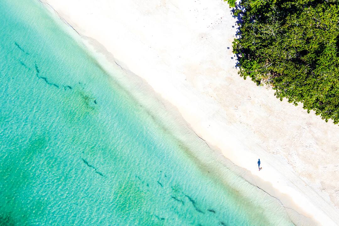 Bereit für den Flug nach Land Jamaika?