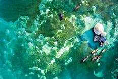 Floyds Pelican Bar, Jamaica