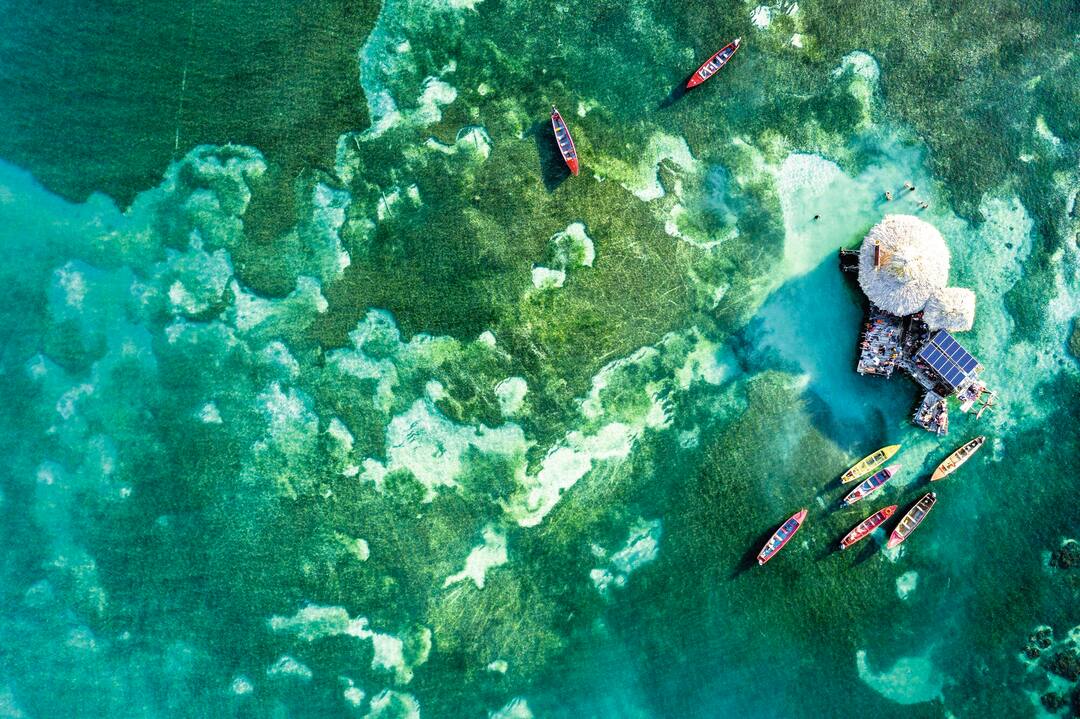 Floyds Pelican Bar, Jamaica