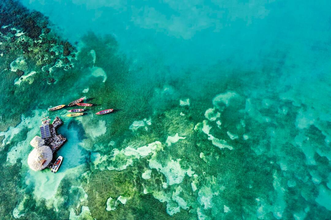 Floyds Pelican Bar, Jamaica