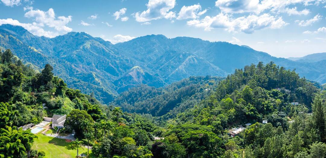 Blue Mountains, Jamaica