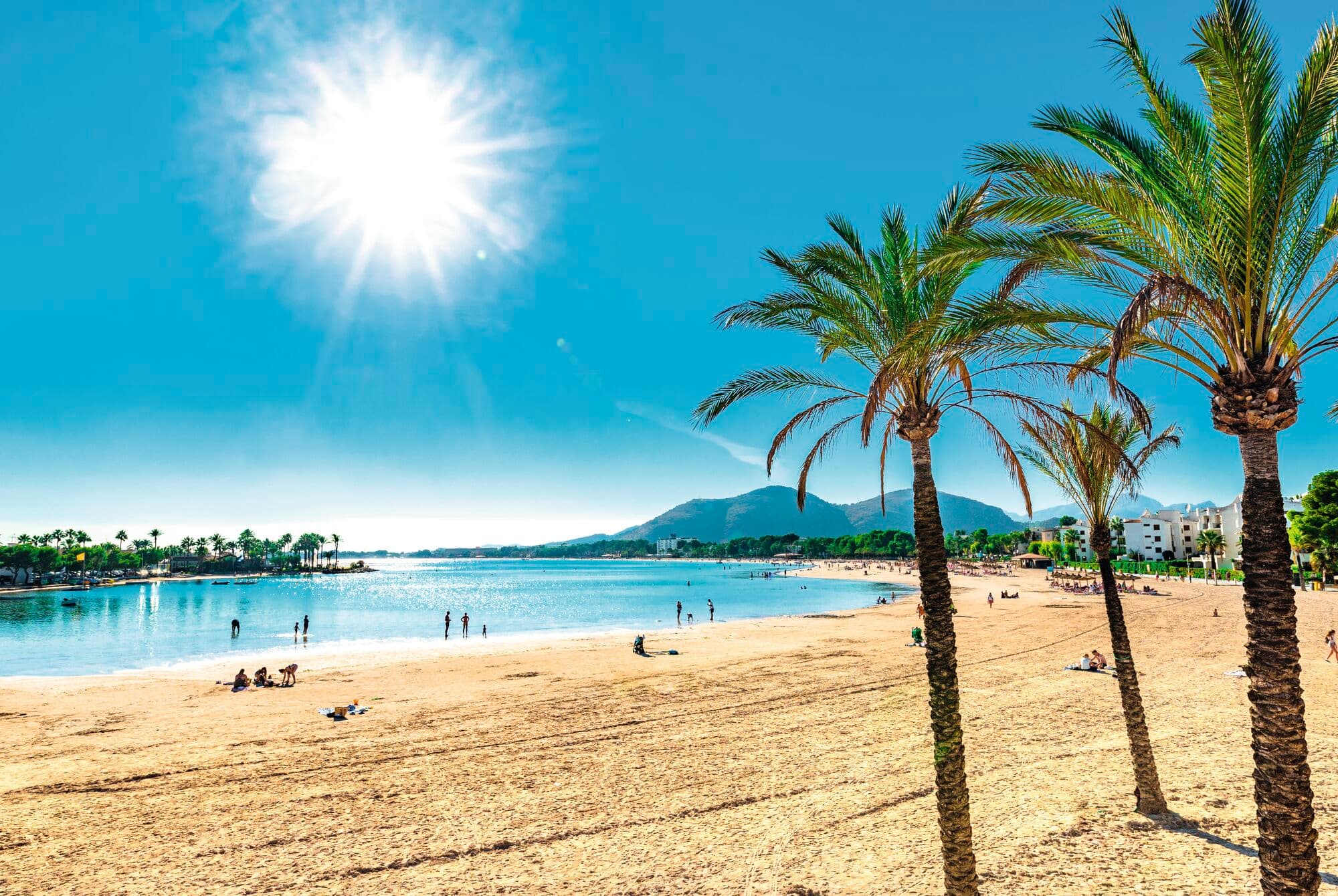 Alcudia