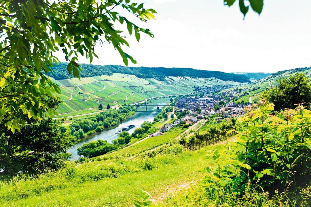 Moselle Valley