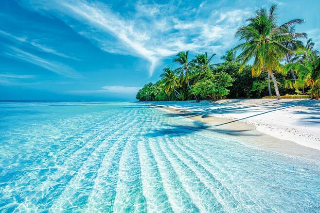 Maldives Holidays | 2022 / 2023 | FirstChoice.co.uk