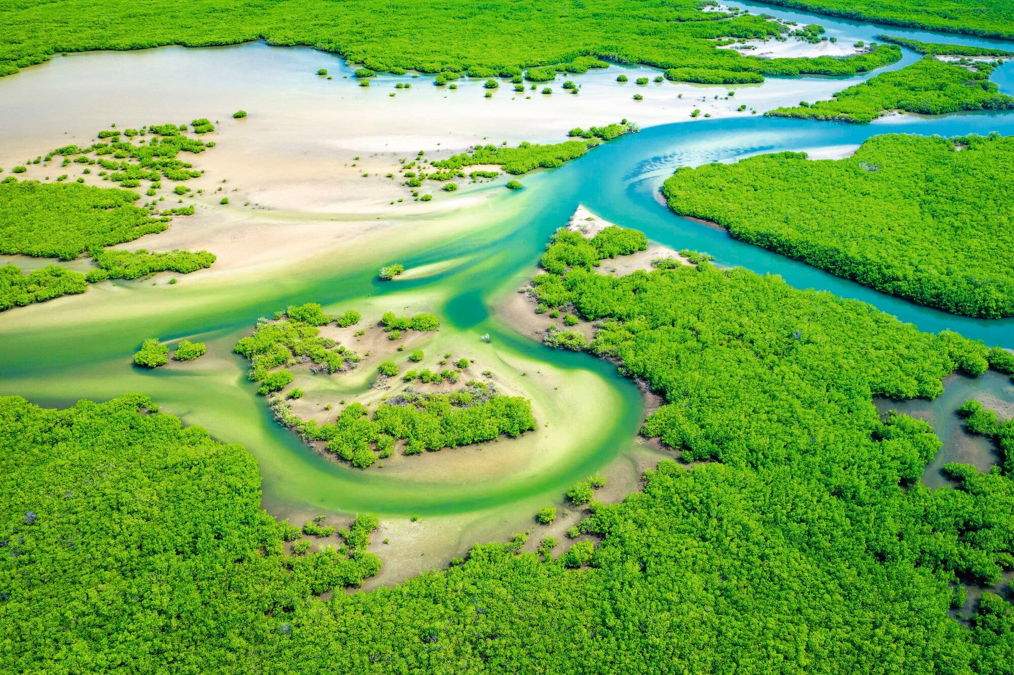 Saloum Delta National Park in Senegal.