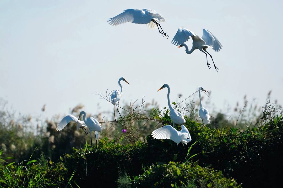 Senegal Holidays 2024 / 2025 | TUI.co.uk