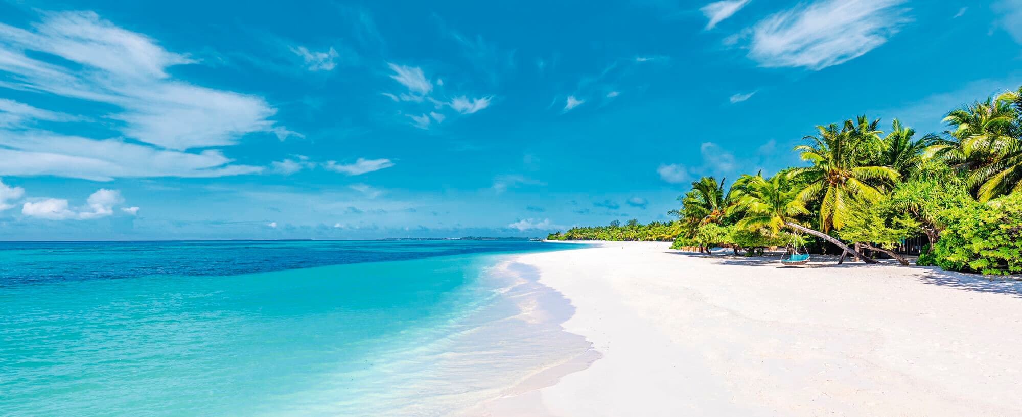 A stretch of beach in the Maldives surrounded by palm trees.