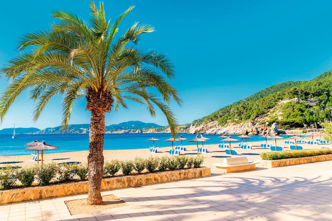 Cala San Vicente, Ibiza