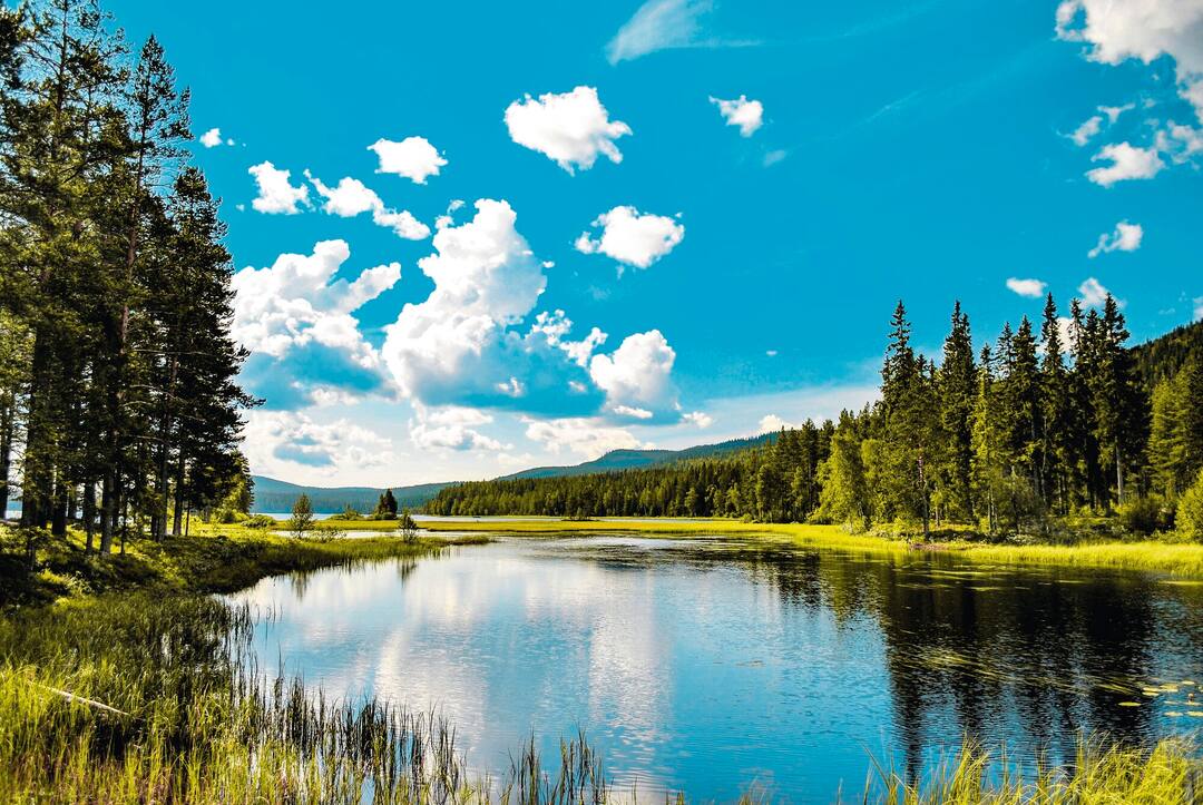 Sweden Holidays 2024/2025 | TUI.co.uk