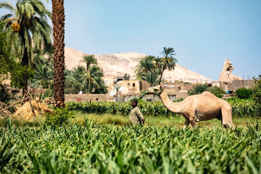 Luxor, Egypt