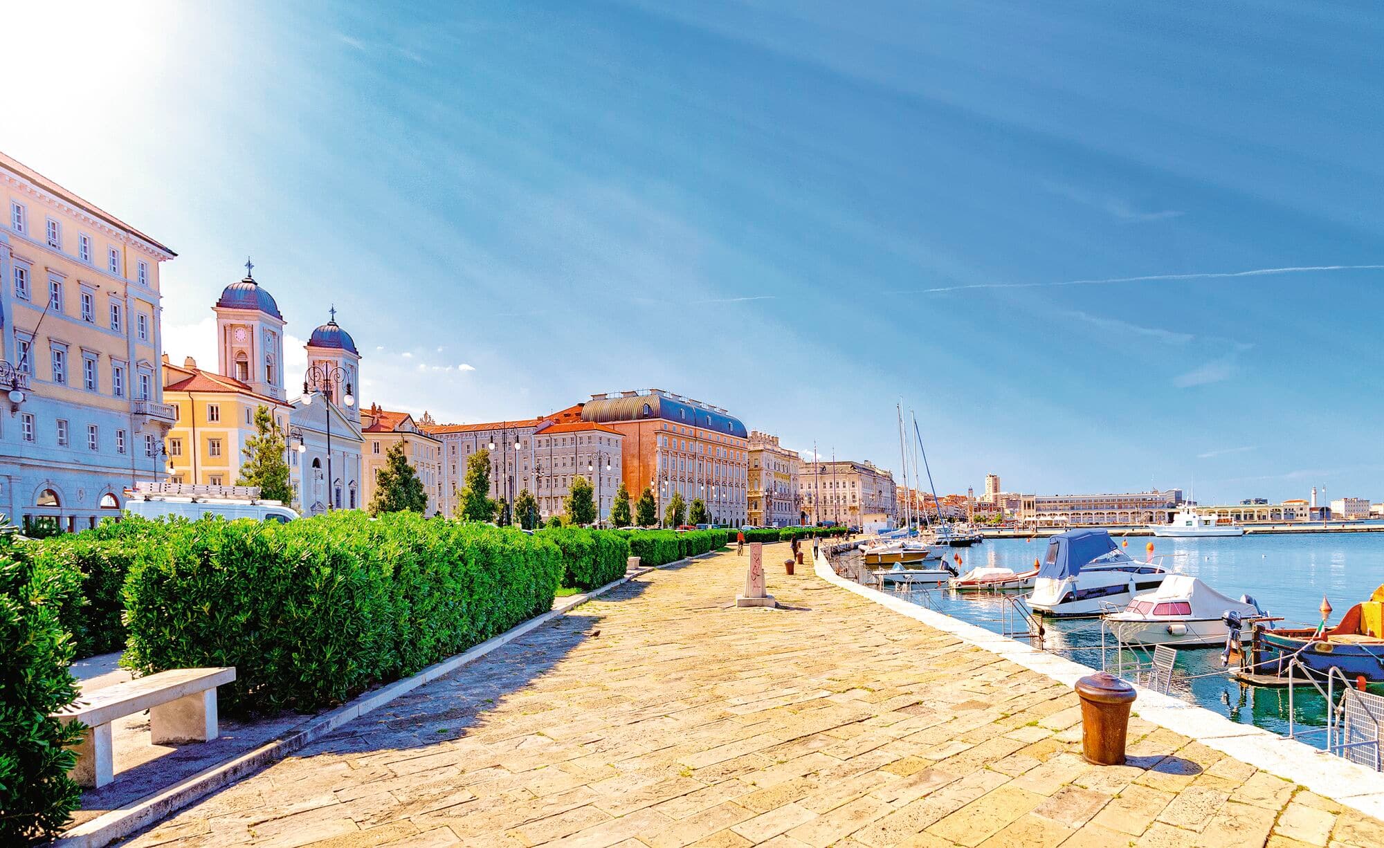 Cruise destination image