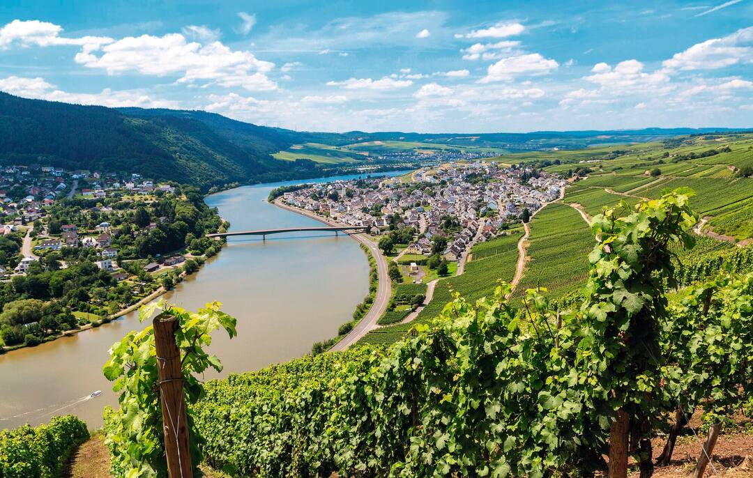 Moselle Valley