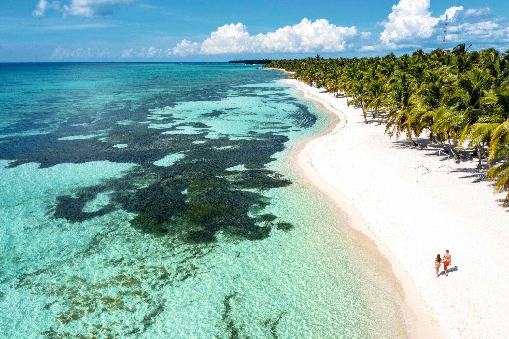 A topdown view of a couple walking along a palm-fringed, sandy beach with clear blue sea.