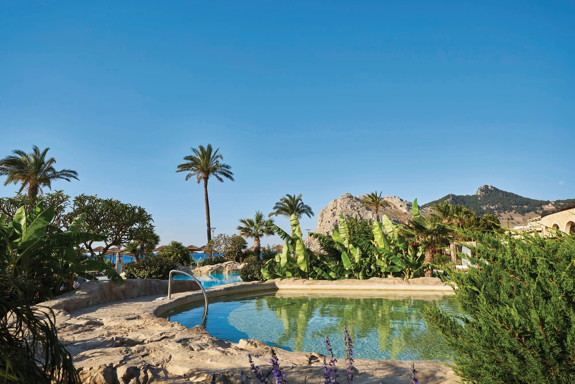 A natural-style pool surrounded by palm trees and tropical gardens, with rocky hills and clear blue skies in the background. 