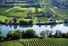 Moselle Valley