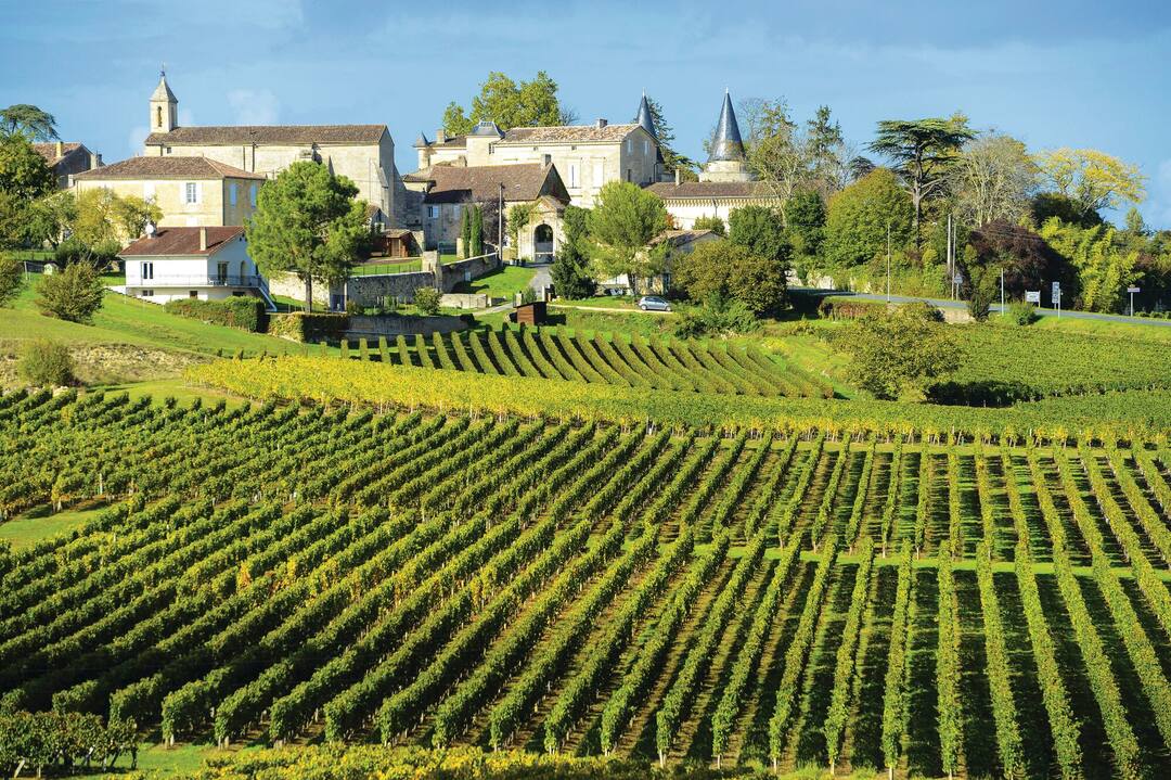 Vineyards of Saint Emilion, Bordeaux