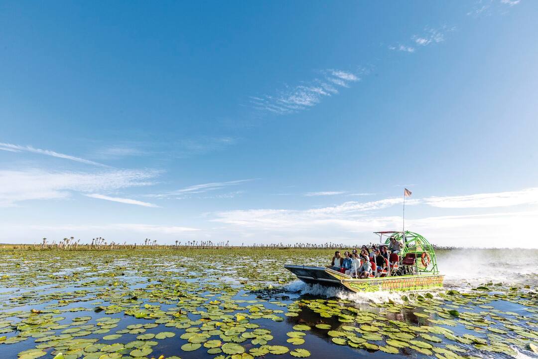 Airboat, Three Forks Marsh