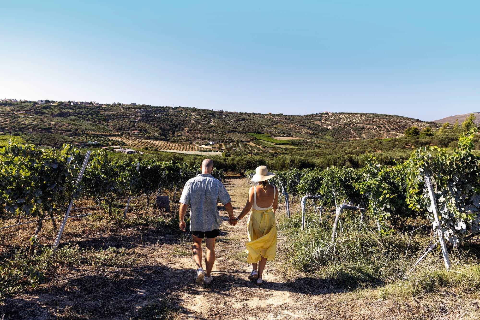 A couple walking hand-in-hand through a vineyard.