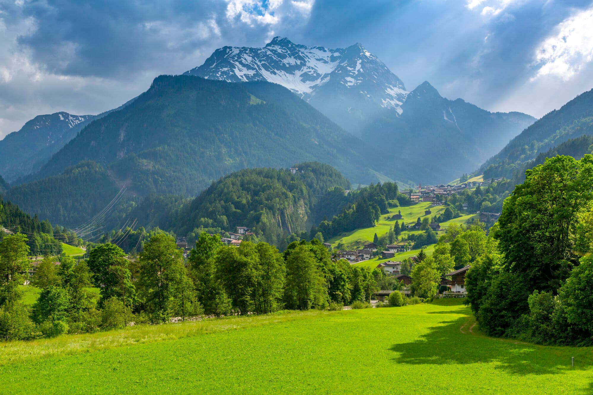 A green grassy meadow with trees, and mountains in the background.