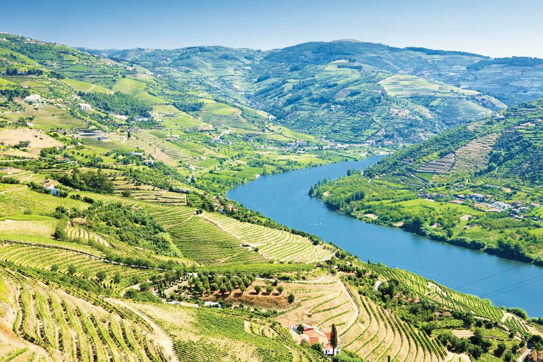 Douro Valley vineyards