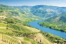 Douro Valley vineyards