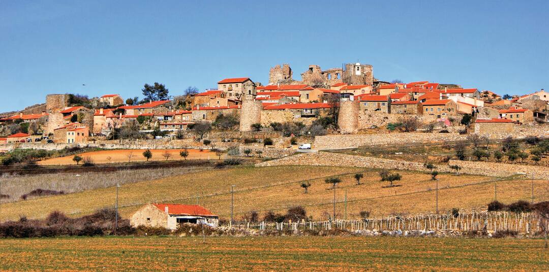 Figueira de Castelo Rodrigo