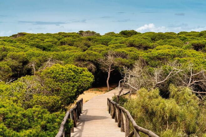 Things to do in Rota | TUI.co.uk