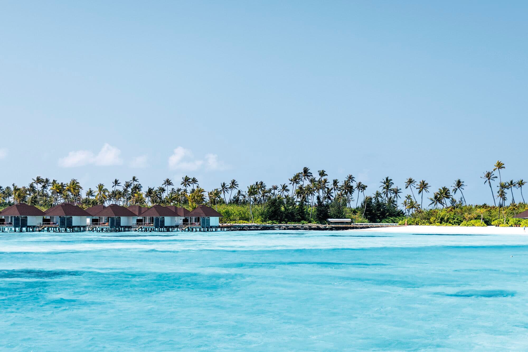 Overwater villas lining a tropical island fringed with palm trees.