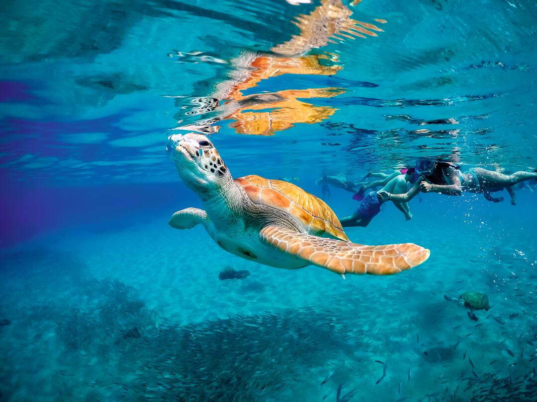 Land Curaçao