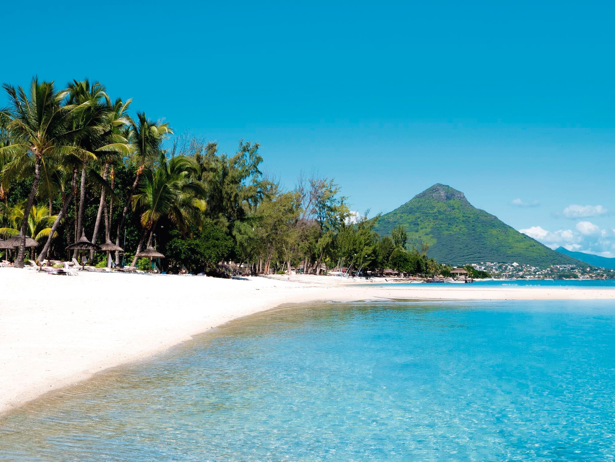 A palm-fringed beach in Mauritius