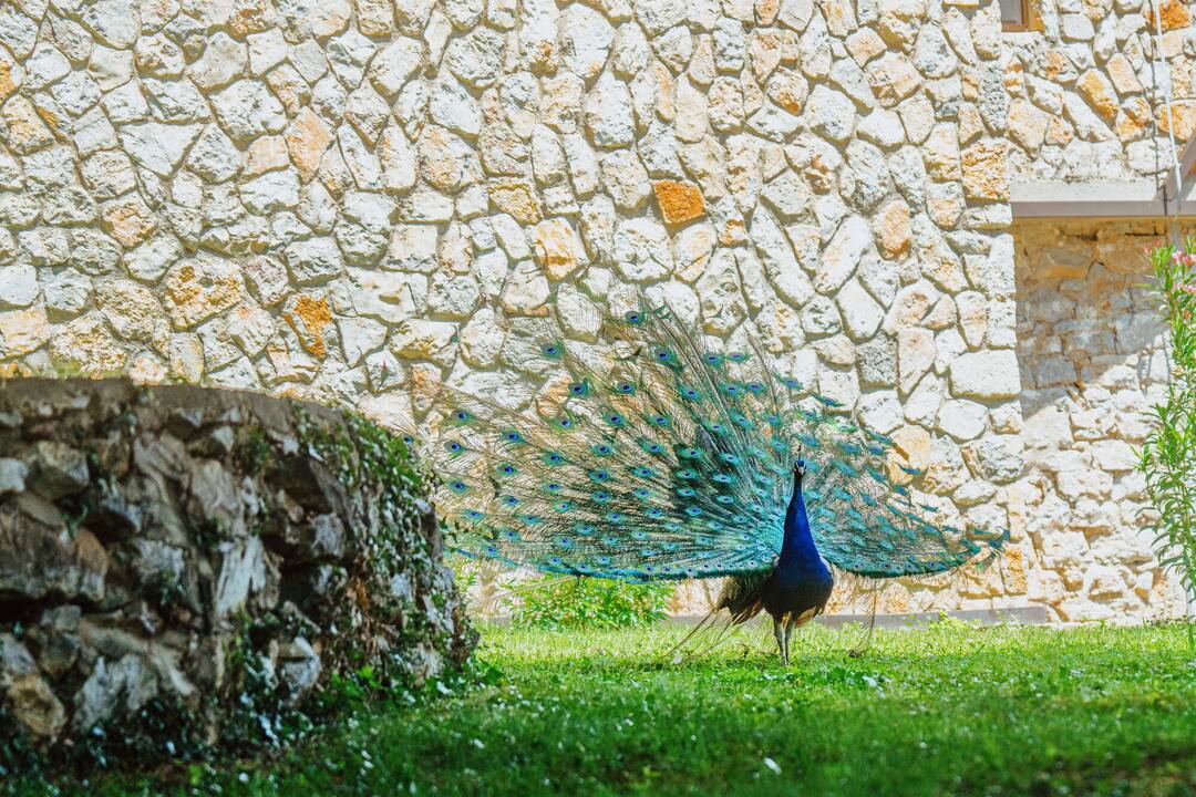 Sveti Stefan, Lake Ohrid, North Macedonia